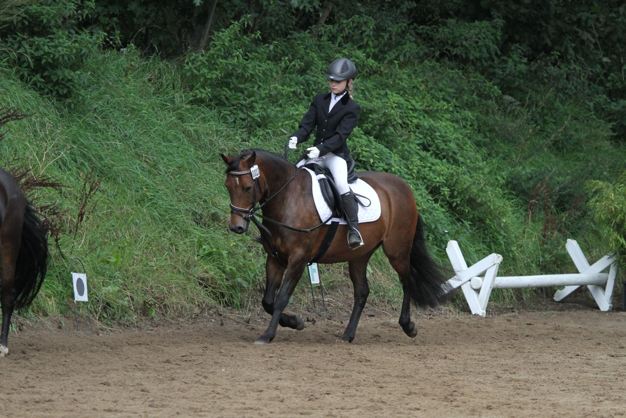 Bild 1156 - WBO-Turnier am 18.9.11